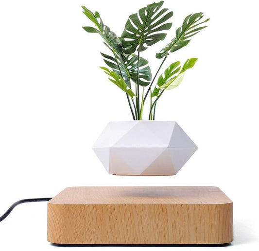 Levitating Air Bonsai Pot