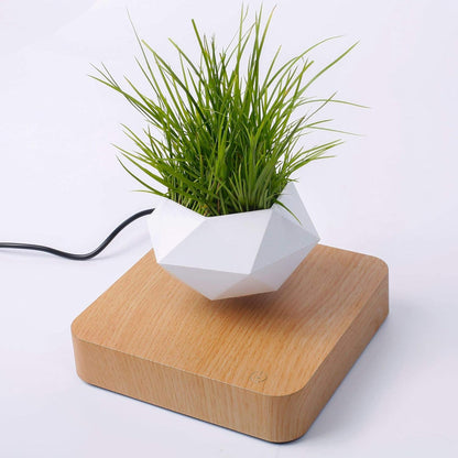 Levitating Air Bonsai Pot