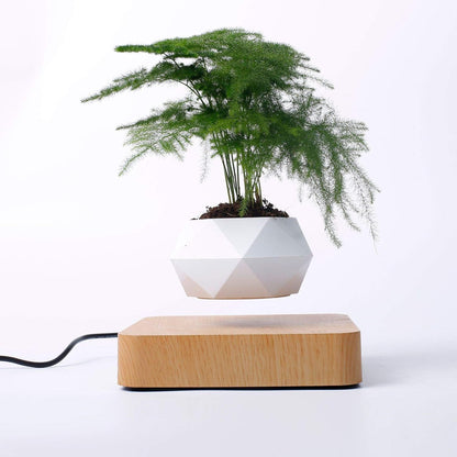 Levitating Air Bonsai Pot