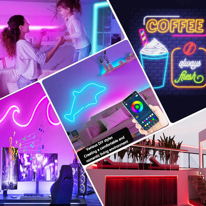 Neon LED Strip Lights