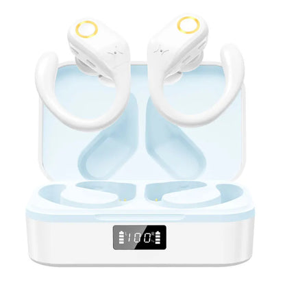 ANC Wireless Earphones